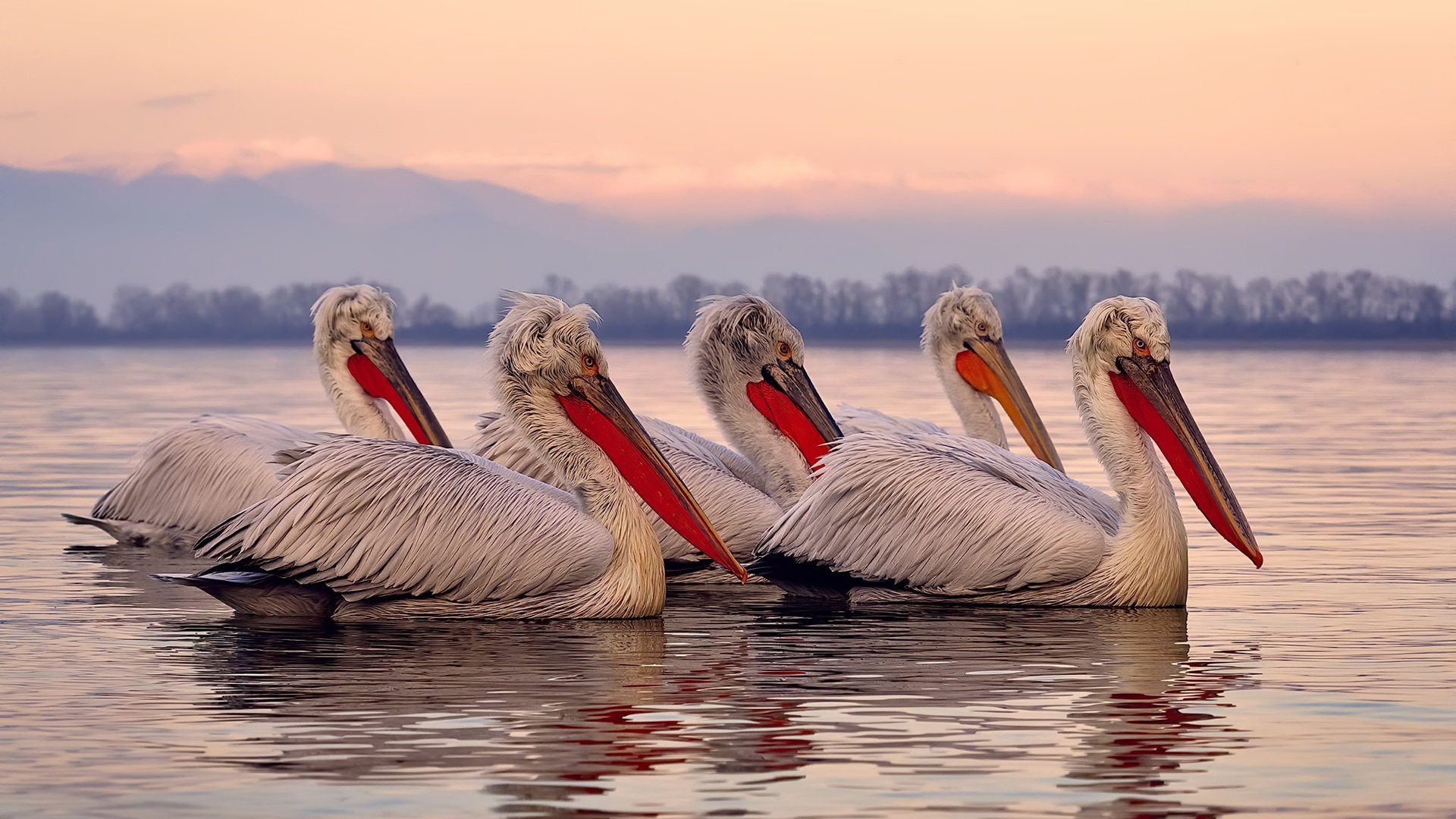 ayx-数据狂魔:联盟中的统计达人和他们的分析报告,数据 统计