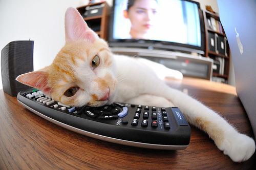 爱游戏-法甲：蒙彼利埃1-1平斯特拉斯堡，激烈对抗战况胶着，蒙彼利埃球员名单