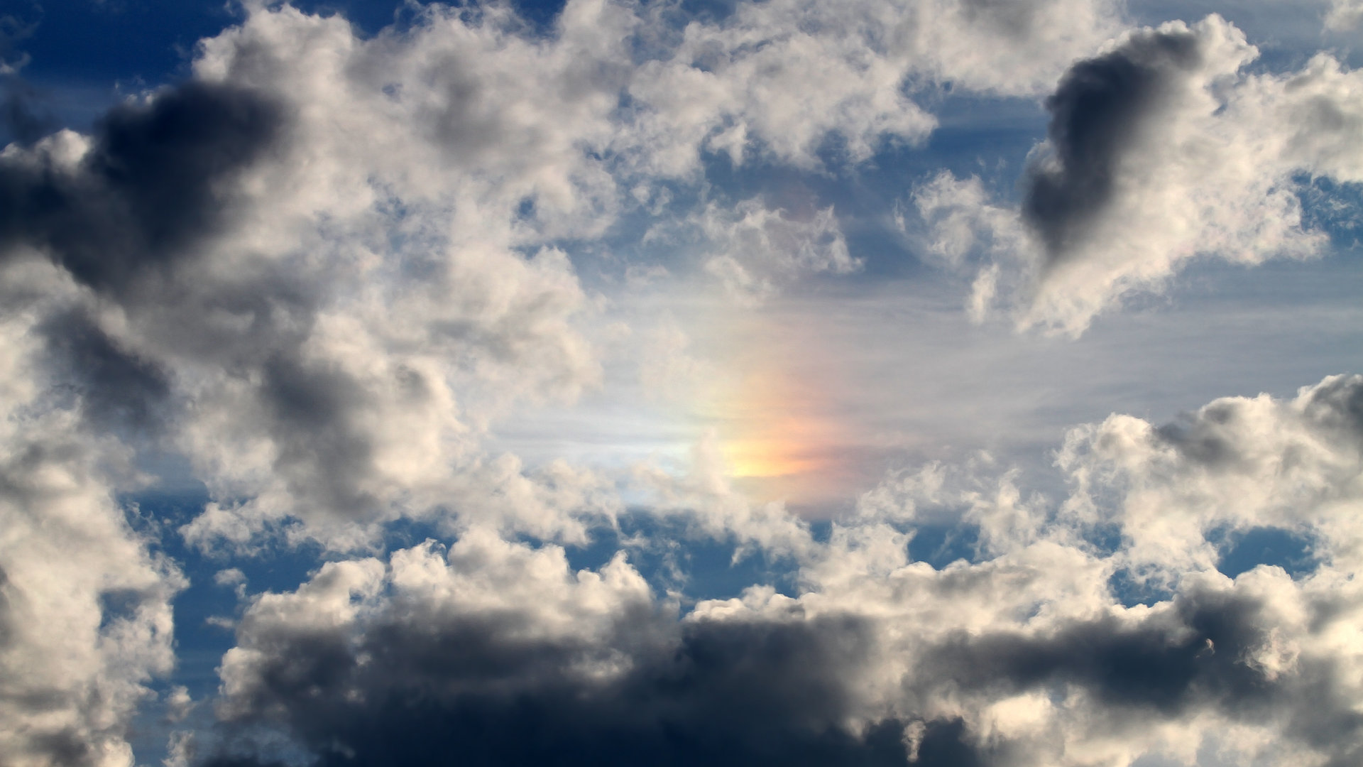 ayx-西班牙马术协会与国际马术组织合作，举办青少年马术交流活动，促进国际理解。