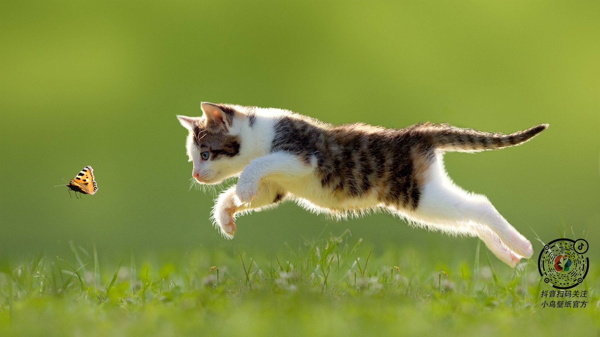 爱游戏体育-运动员权益保障法律法规不断完善，行业环境逐步优化，运动员权利