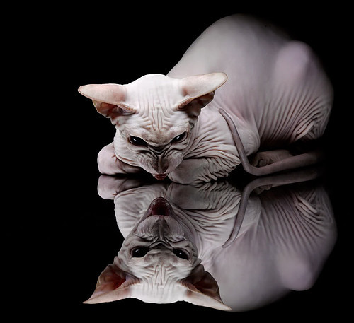 爱游戏平台-中国足球是否需要建立球员思想品德体系，中国培养足球运动员