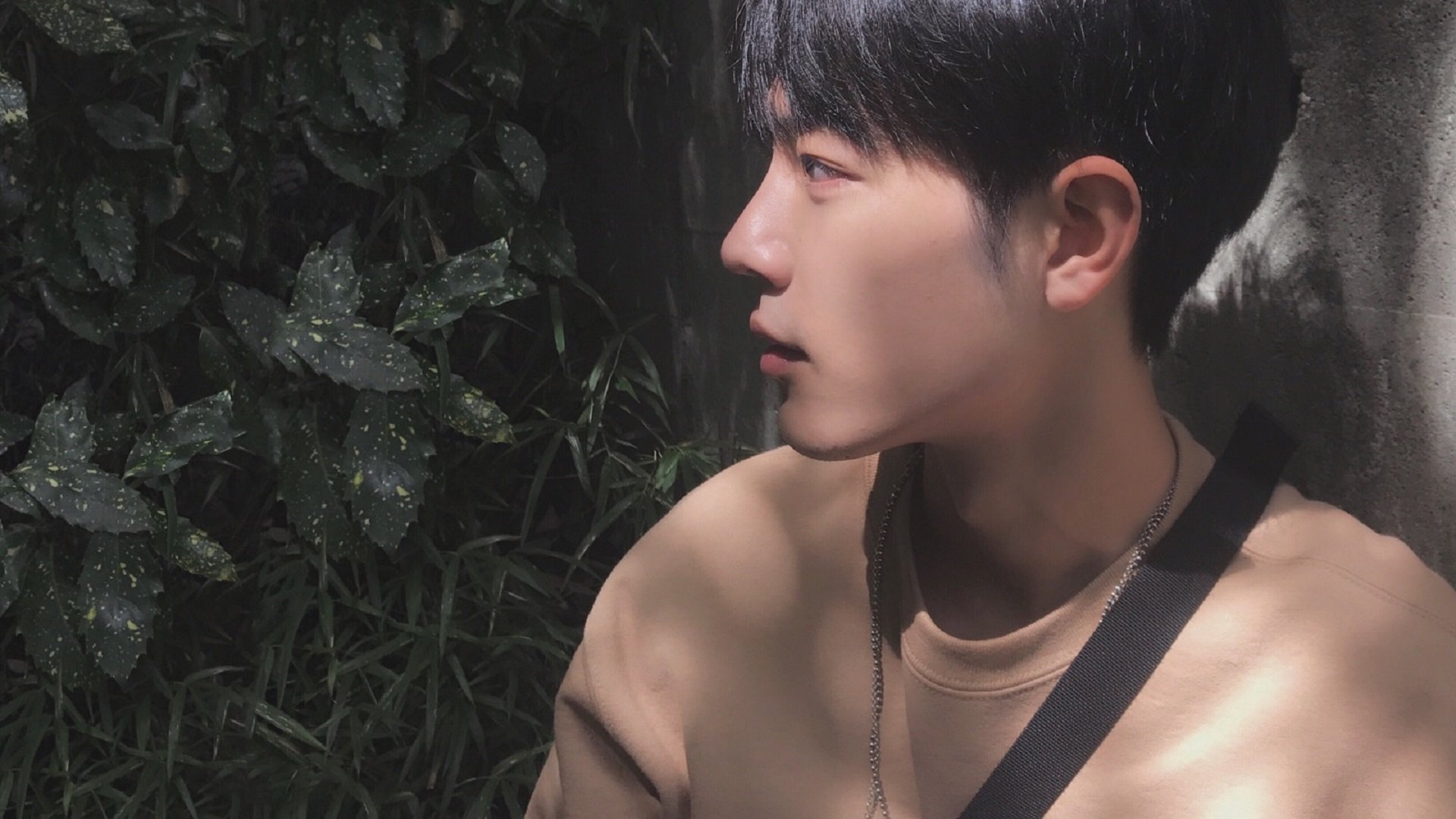 爱游戏在线-本赛季CBA新政策出炉，引发球迷热议，cba新赛季阶段