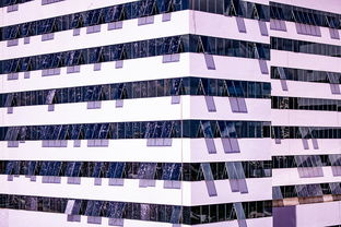 爱游戏体育-中国篮球职业联赛青训体系建设与优化，中国青年篮球队