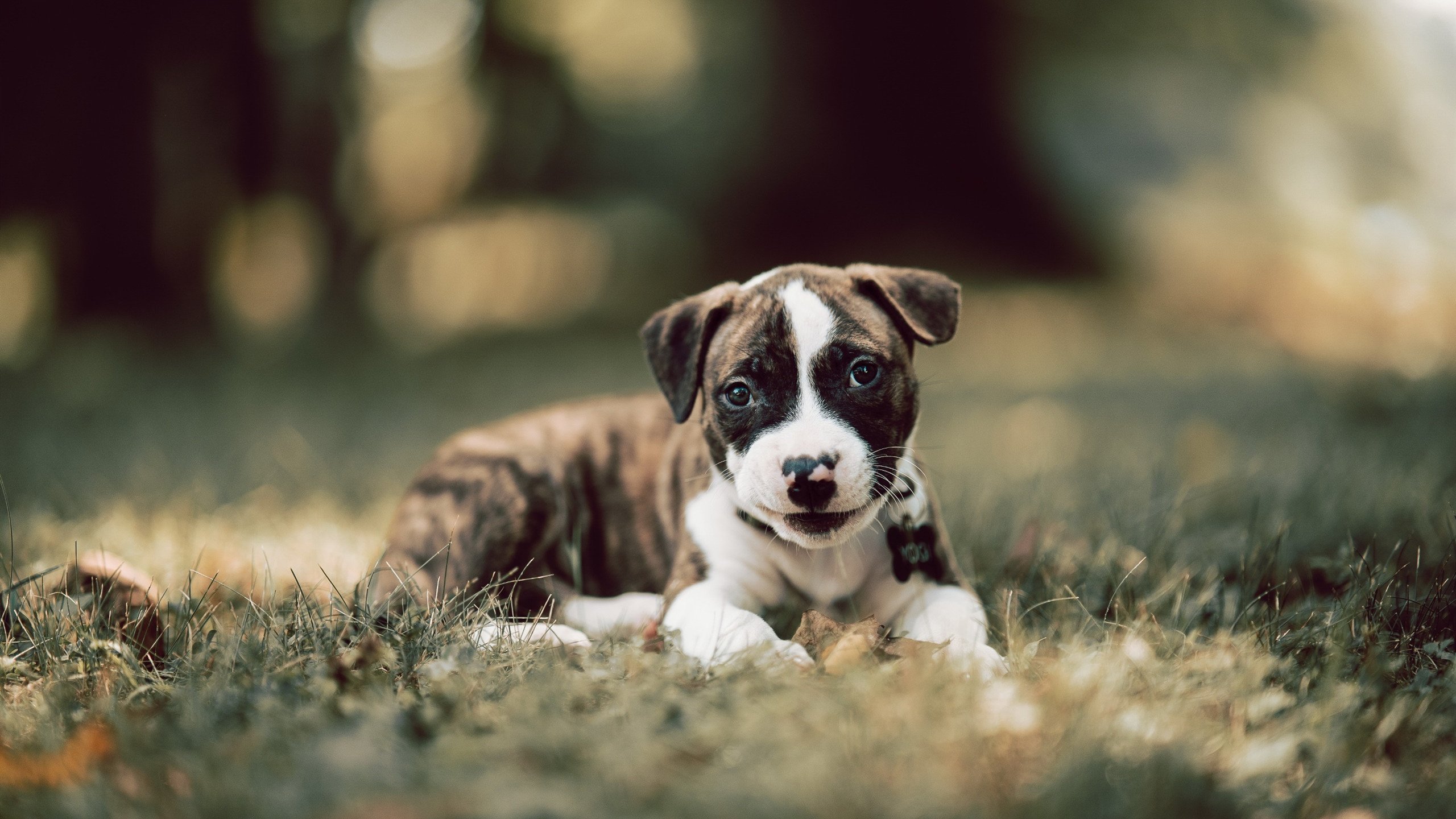 爱游戏体育-乒乓球的“未来球员”:如何结合科技与技术发展