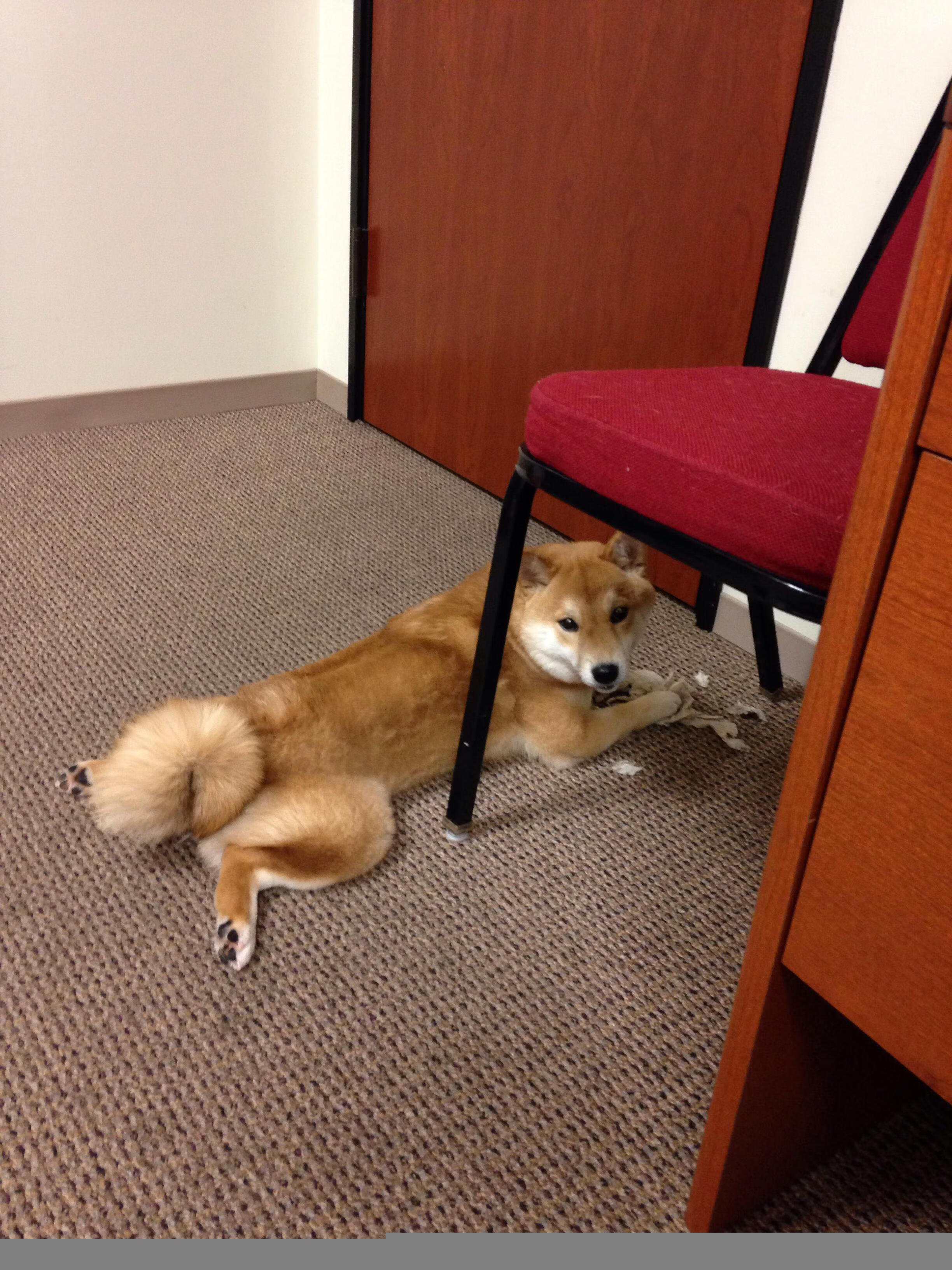 爱游戏体育-亚冠联赛中国足球惨败 战术布置受质疑,亚冠联赛中国足球惨败 战术布置受质疑吗